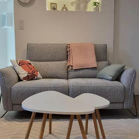 Apartamento Cosy Centre Historique