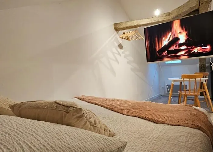 Appartement Cosy Centre Historique